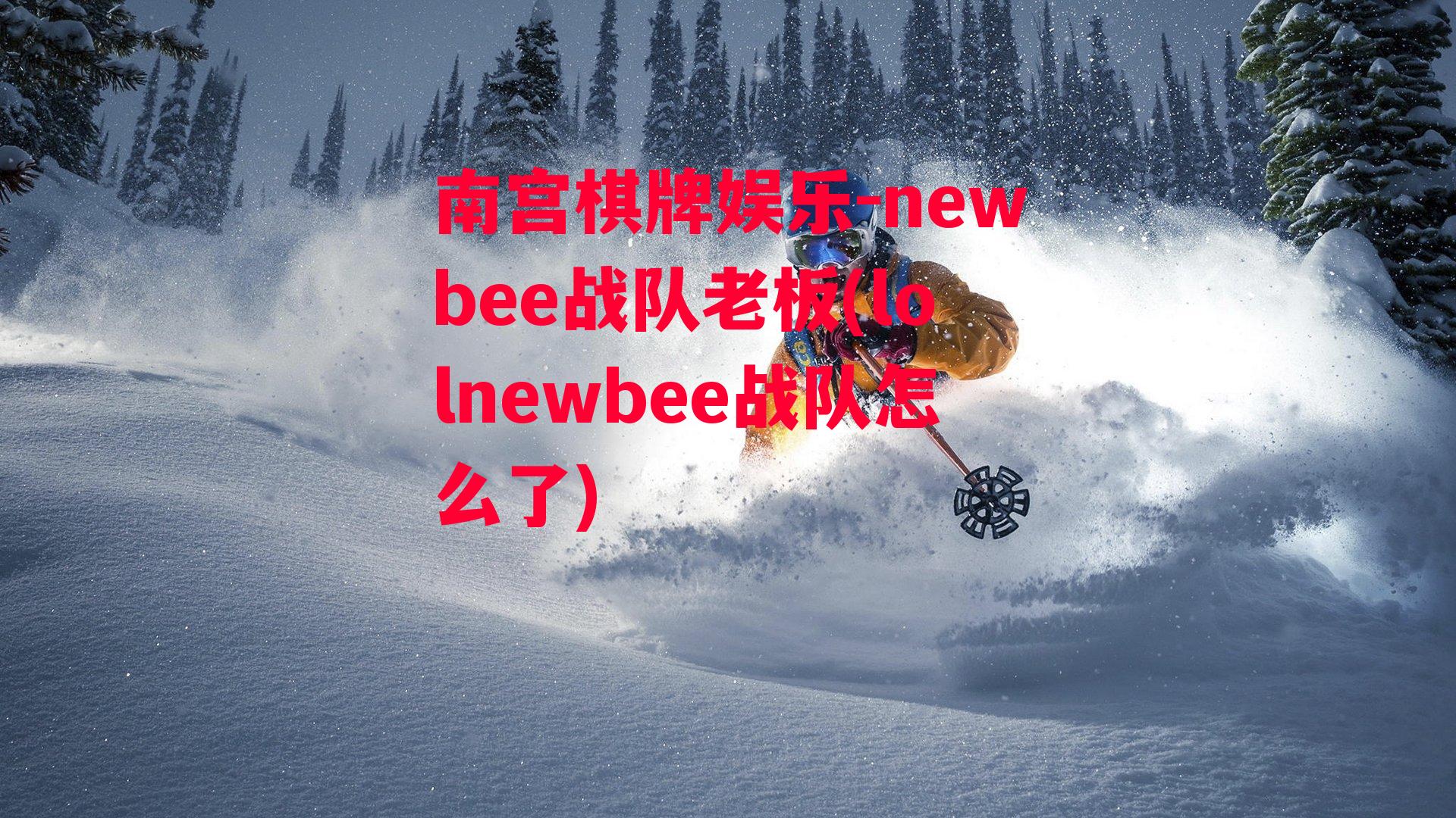 newbee战队老板(lolnewbee战队怎么了)